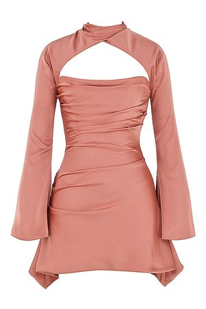 Clothing : Mini Dresses : 'Toira' Rose Draped Corset Dress