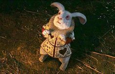 tim burton alice in wonderland white rabbit