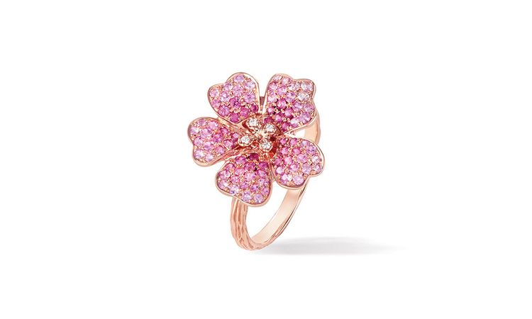ring blossom cherry 🌸