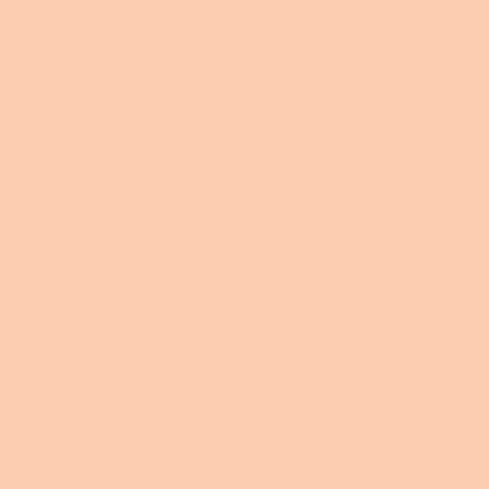 1024x1024 Apricot Solid Color Background