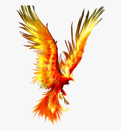 ﻿﻿﻿​﻿phoenix bird - Google Search