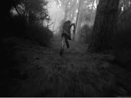 scary girl forest aesthetic - Google Search