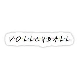 volleyball aesthetic sticker - Google Search