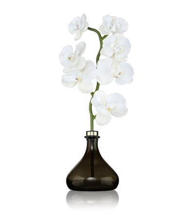 Senti Fig Orchid Diffuser (250ml) | Harrods.com