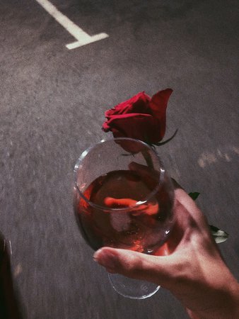 red wine | Tumblr