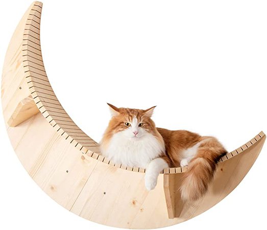 Amazon.com : MYZOO Luna: Wall Mounted Cat Bed, Wooden Cat Furniture, Floating Cat Perch, Cat Tree, Cat Shelves : Pet Supplies