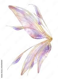fairy wings png