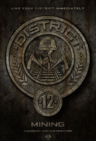 hunger games poster district 12