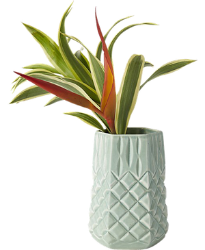 Bea Green Vase | Decorist