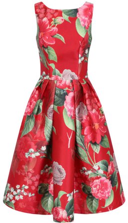 chichi floral print dress