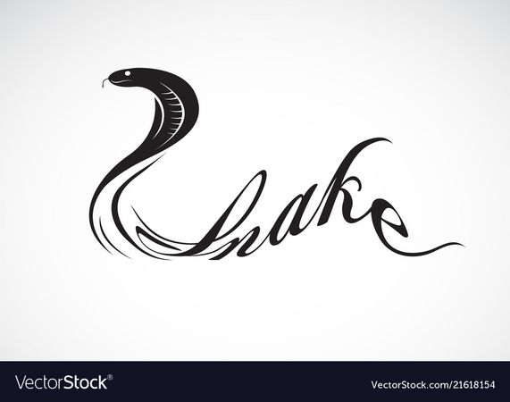 Snake is text on white background wild animals Vector Image