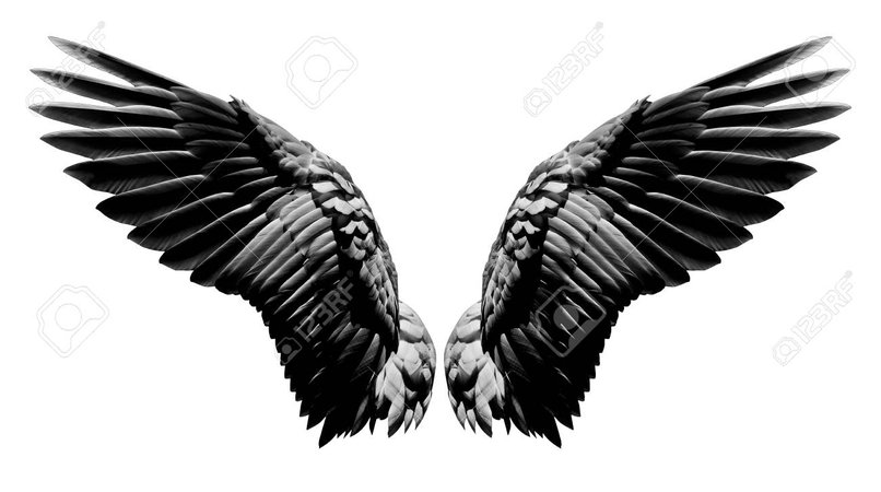 black wings background - Google Arama