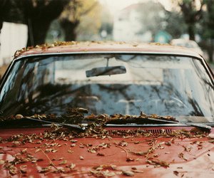 53 images about big autumn vibes on We Heart It | See more about vintage, aesthetic and indie