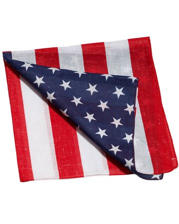 Buy Red White and Blue American Bandana for 4.99| CostumeBox