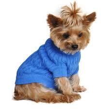 dog in sweater - Google Search