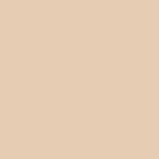 light brown solid background - Google Search