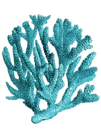 turquoise teal coral png filler