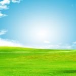 Sky and Grass Outdoor Background
