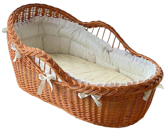 moises baby Carrier basket png