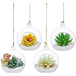 Amazon.com: NUPTIO 4 Pcs Glass Hanging Planter, Light Bulb Shaped Hanging Air Plant Holders, Flower Pots Plant Containers Terrarium Hanging Glass Globe for Airplants, Succulent or Small Plants : Patio, Lawn & Garden