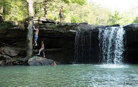 WATER IN FOREST SWIMMING HOLE - Google Search