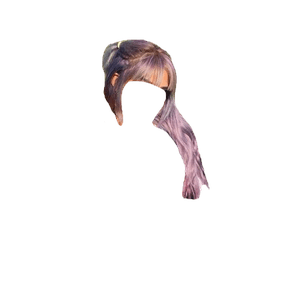 Brown Grey Purple Hair Bangs Small Pigtails PNG