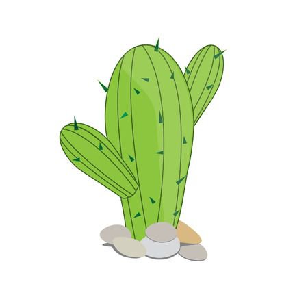 Cactus In Sombrero, Cactus Vector, Desert Cactus, Mexican Hat Royalty Free Cliparts, Vectors, And Stock Illustration. Image 40221480.