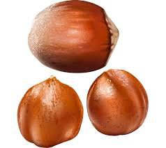 chestnuts transparent background - Google Search