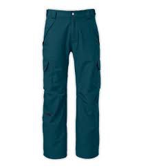 teal cargo pants - Google Search