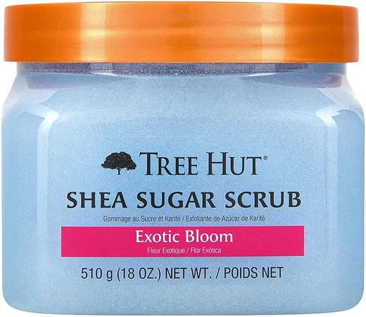 Amazon.com : Tree Hut Exotic Bloom Shea Sugar Scrub, 18 oz, Ultra Hydrating and Exfoliating Scrub for Nourishing Essential Body Care : Beauty & Personal Care