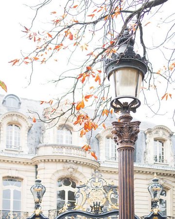 autumn farewell in paris (georgianna lane)