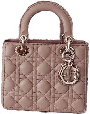 dior pink bag