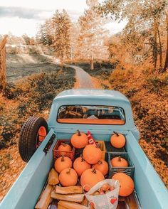 Pumpkin Parade | Fall wallpaper, Cute fall wallpaper, Fall halloween