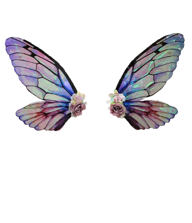 Flower Fairy Wings - Adult Fairy Wings - Wearable Wings Butterfly