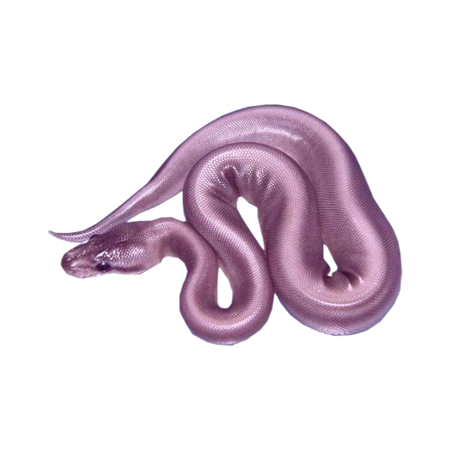 metallic pink snake stuffed animal