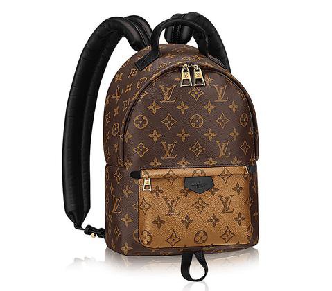 Louis-Vuitton-Palm-Springs-PM-Backpack-Monogram-Inverse_large.jpg (479×420)