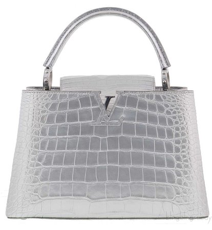 Louis Vuitton mirror croco bag