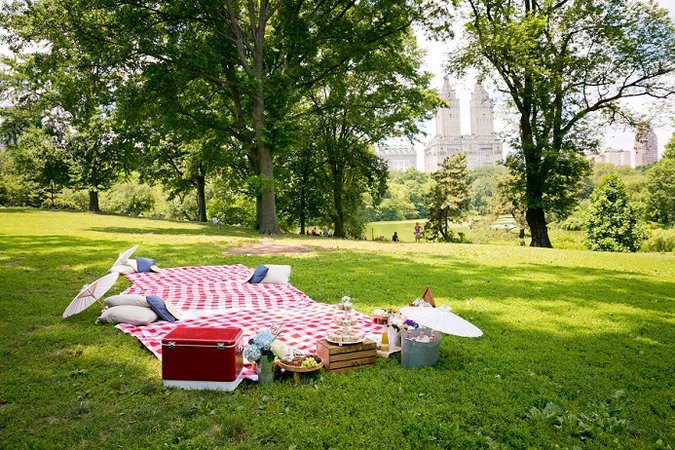 picnic-wedding-central-park-2.jpg (693×462)
