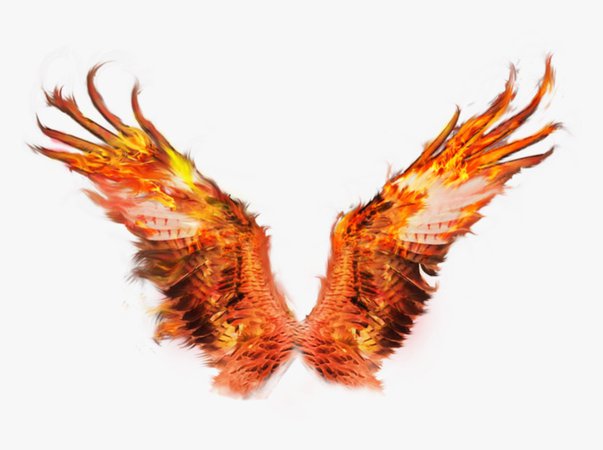 Phoenix wings