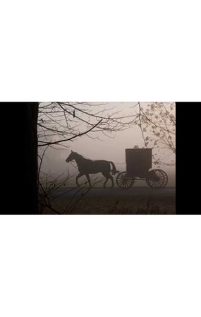 haunted carriage
