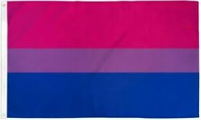 bisexual flag - Google Search