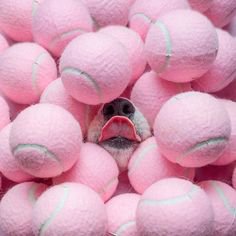 Pink Tennis Balls