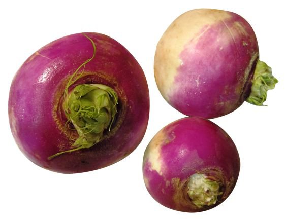 turnip png