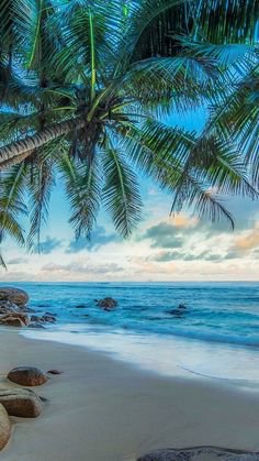 You could go to the same beach as everyone else OR you could go to an https://www.exquisitecoasts.com/ beach. You choose! #Beaches #bestbeachesintheworld #exquisitecoasts
