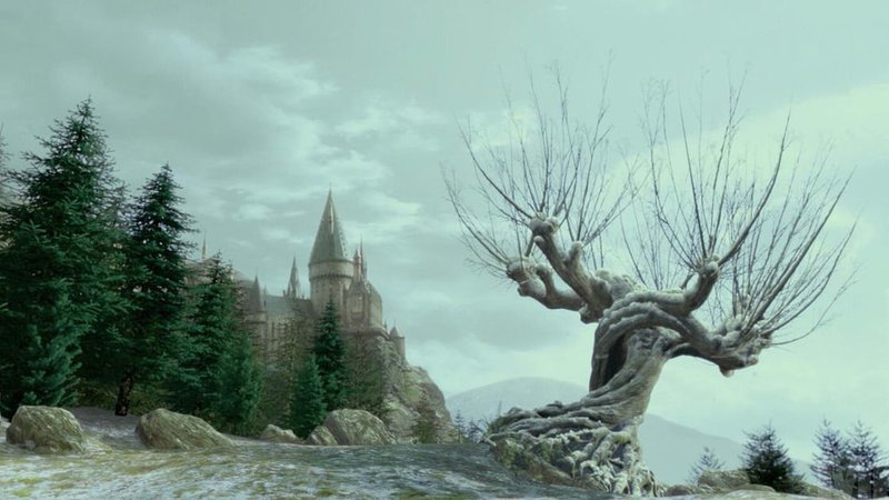 Whomping Willow in winter