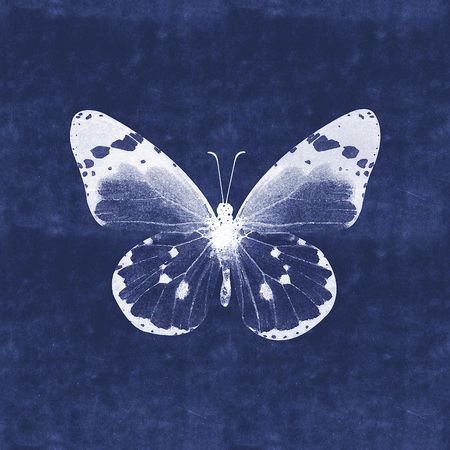 White and Indigo Butterfly 1- Art by Linda Woods Mixed Media by Linda Woods
