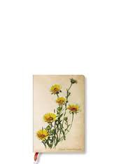 paperblanks painted botanicals - Google Search