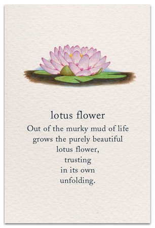 Lotus Flower | Support & Encouragement Card | cardthartic.com | Flower quotes, Symbols and meanings, Flower meanings