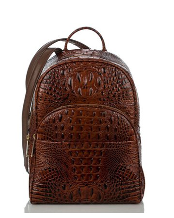 brahmin backpack