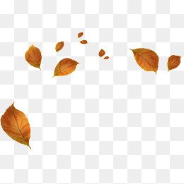 Autumn Leaves PNG Images | Vectors and PSD Files | Free Download on Pngtree